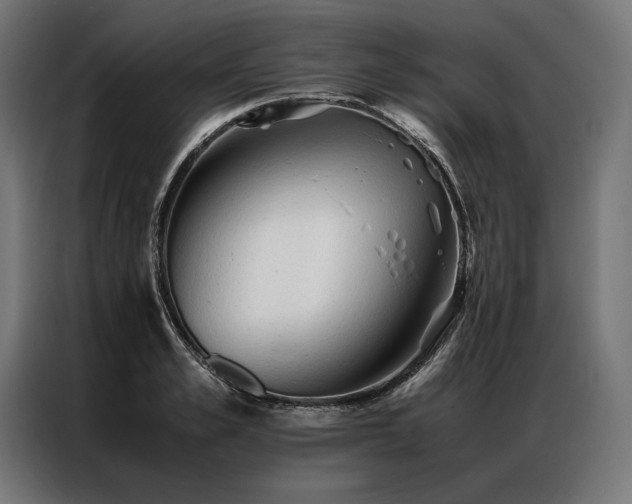 X0000087020989200704161558