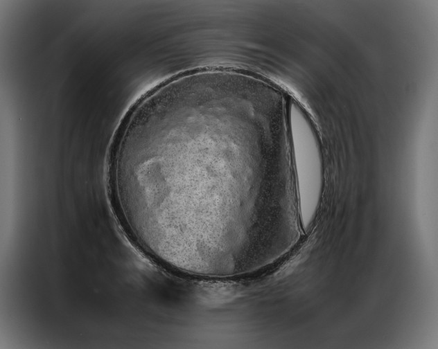 X0000087020991200704161558