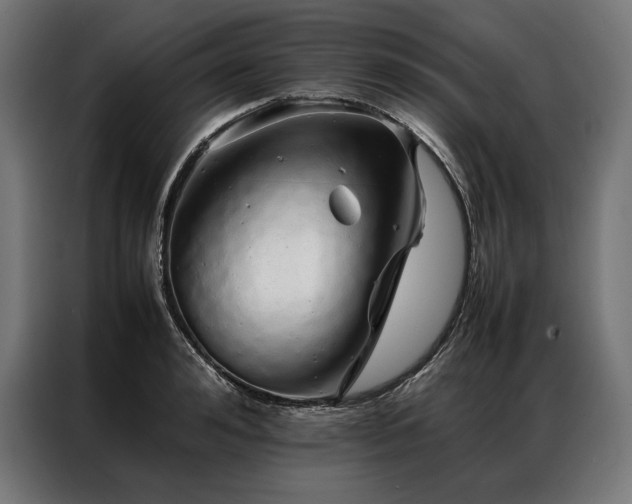 X0000087020992200704161558