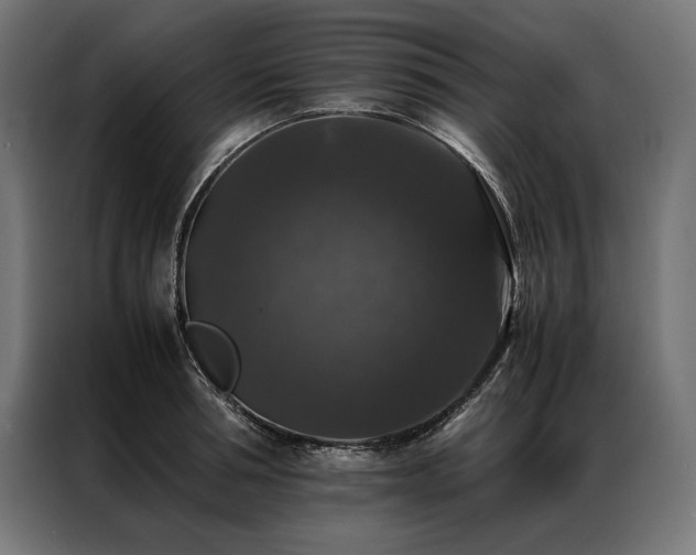 X0000087020994200704161558
