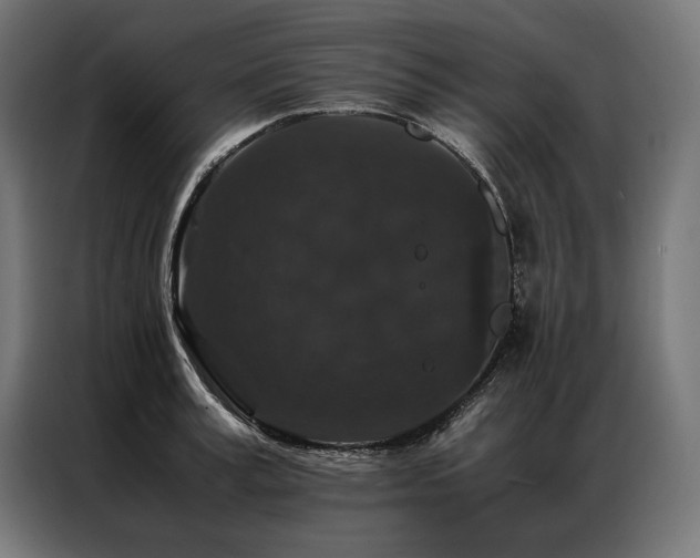 X0000087020995200704161558