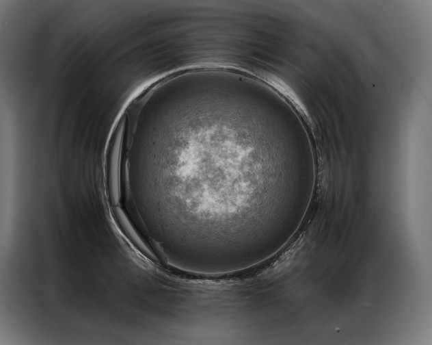 X0000087020996200704161558