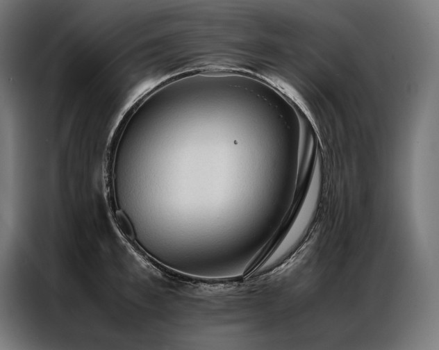 X0000087020997200704161558
