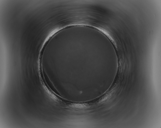 X0000087020998200704161558
