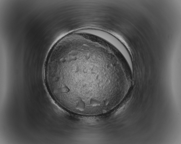 X0000087020999200704161558