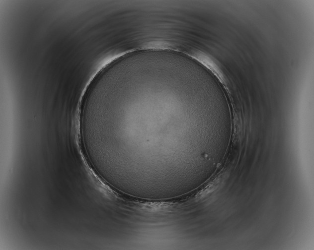 X0000087021000200704161558