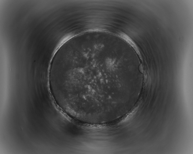 X0000087021002200704161558