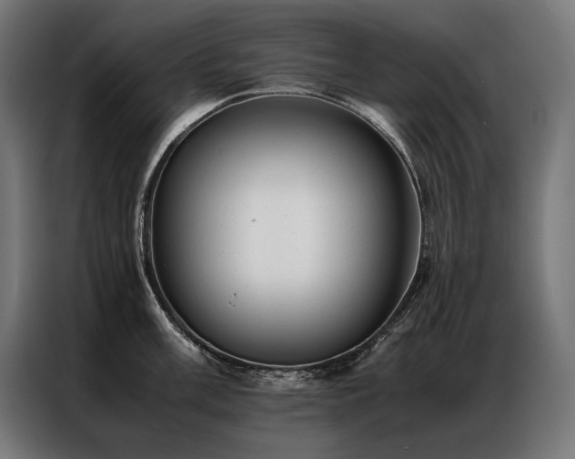 X0000087021003200704161558
