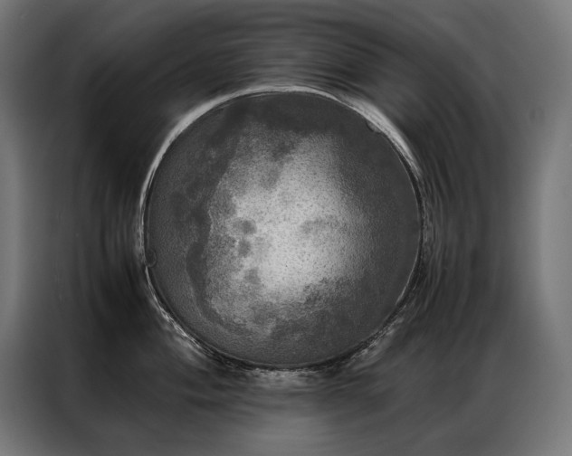 X0000087021004200704161558
