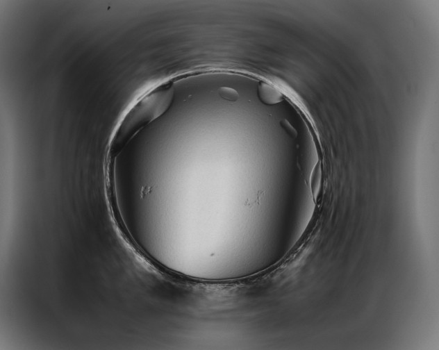 X0000087021005200704161558