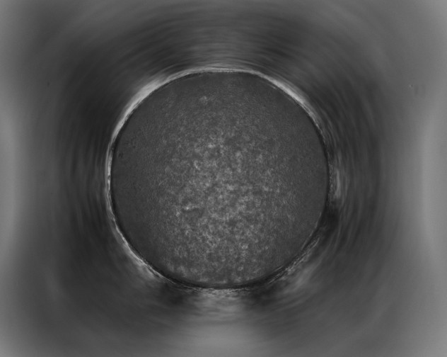 X0000087021006200704161558