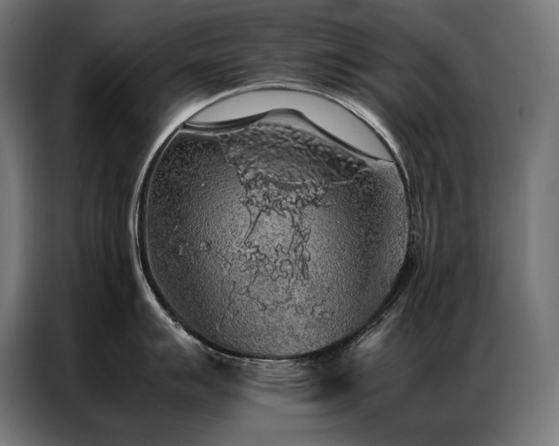 X0000087021007200704161558