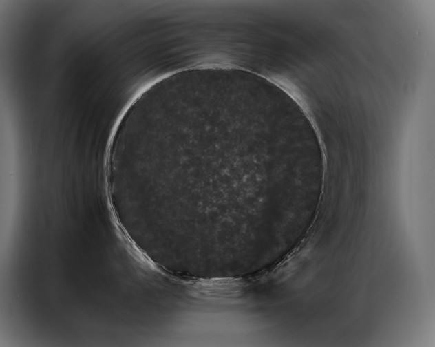 X0000087021008200704161558