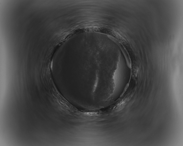 X0000087021010200704161557