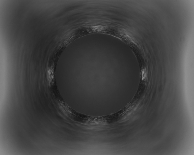 X0000087021011200704161557