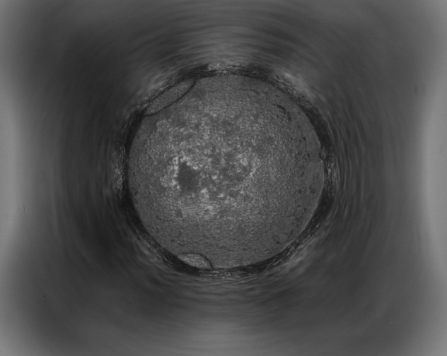 X0000087021012200704161557
