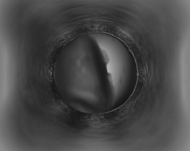 X0000087021013200704161557