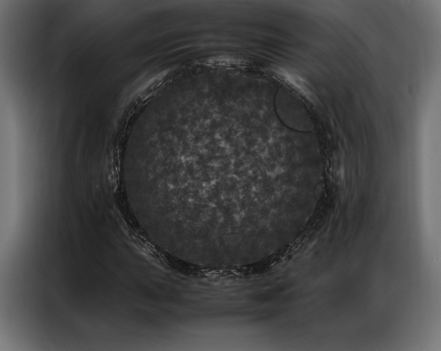 X0000087021015200704161557