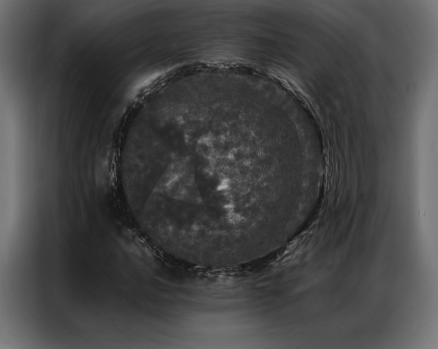 X0000087021016200704161557
