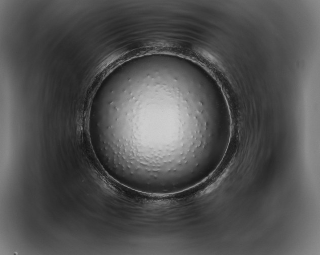 X0000087021017200704161557