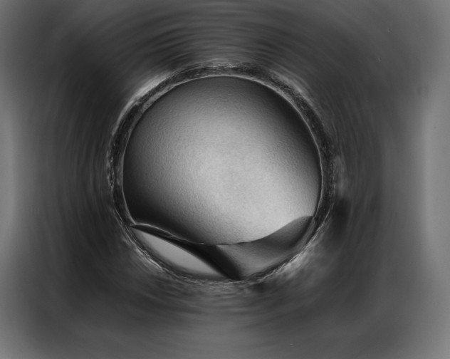 X0000087021018200704161557