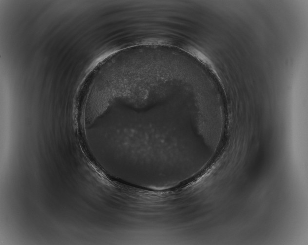 X0000087021019200704161557