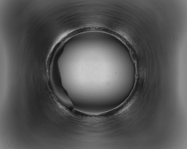 X0000087021022200704161557