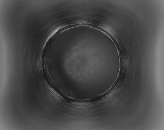 X0000087021023200704161557