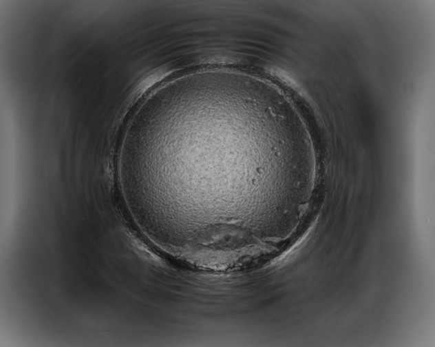X0000087021025200704161557