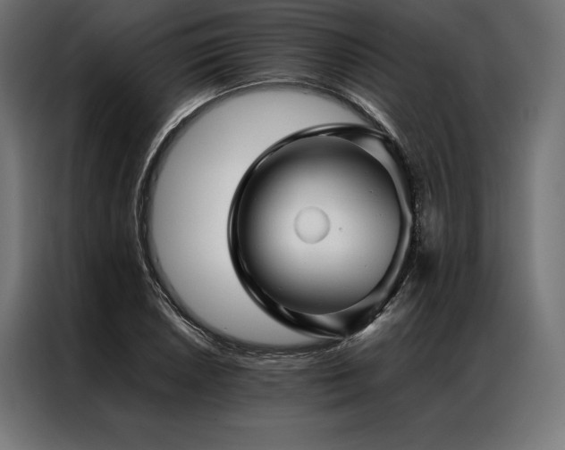 X0000087021026200704161557