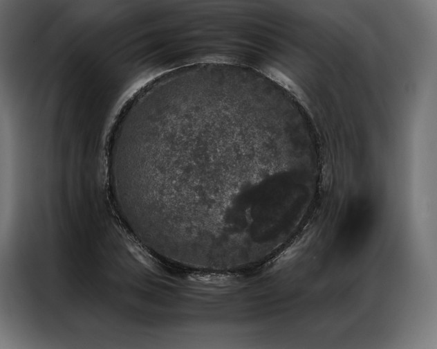 X0000087021027200704161557