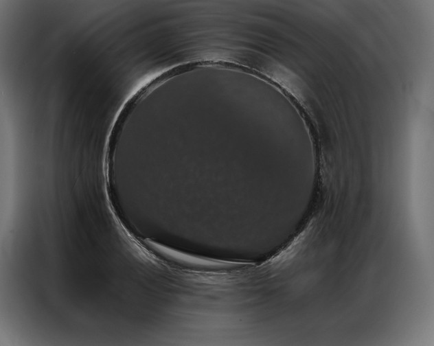 X0000087021028200704161557