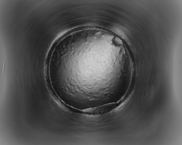 X0000087021029200704161557