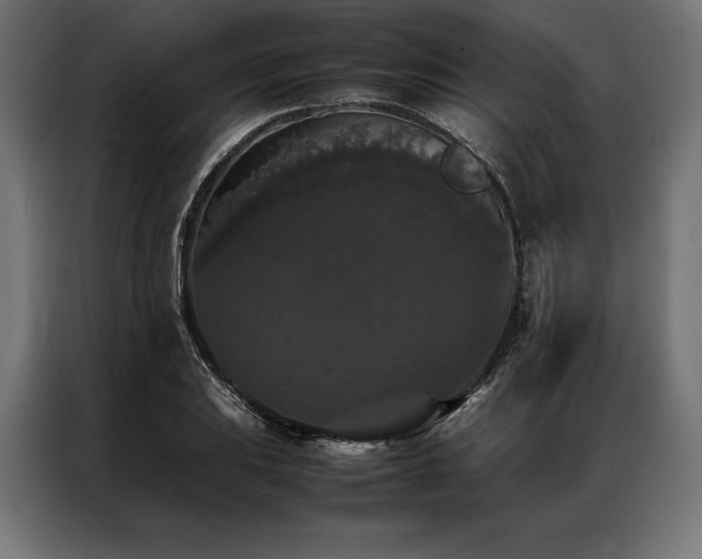 X0000087021031200704161557