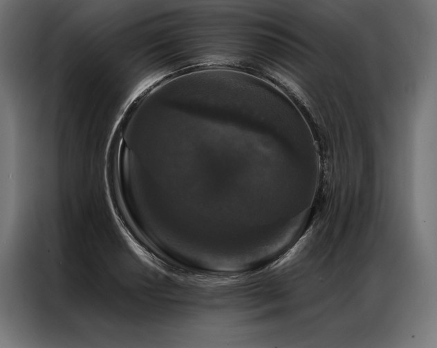 X0000087021034200704161557