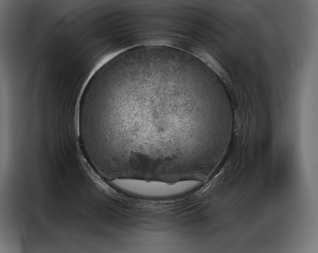 X0000087021036200704161557