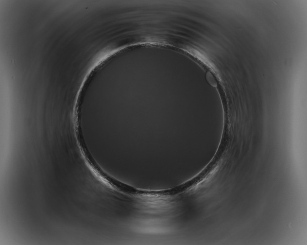 X0000087021037200704161557