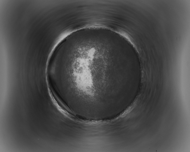 X0000087021038200704161557