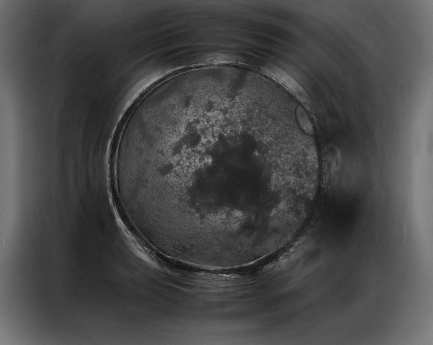 X0000087021039200704161557