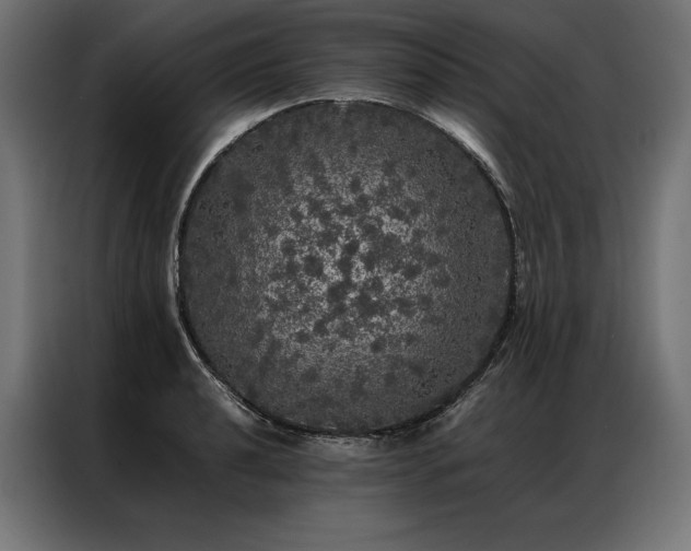 X0000087021040200704161557