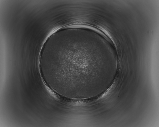 X0000087021042200704161557