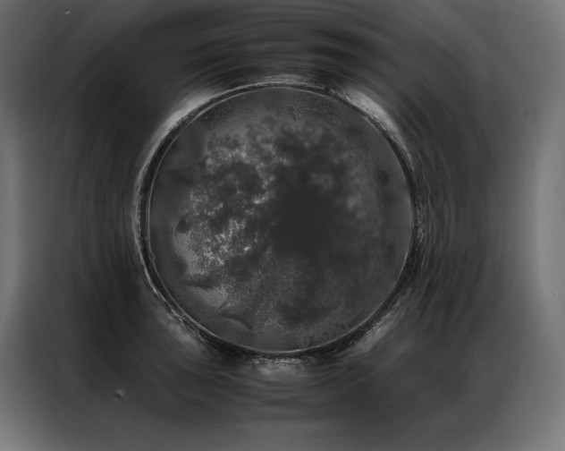 X0000087021043200704161557
