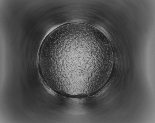 X0000087021044200704161557