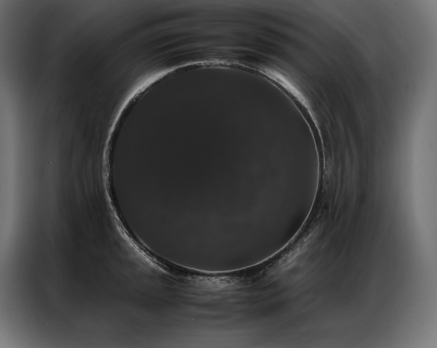 X0000087021045200704161557