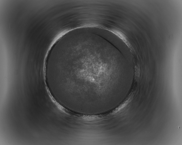 X0000087021046200704161557