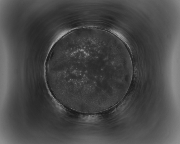 X0000087021047200704161557