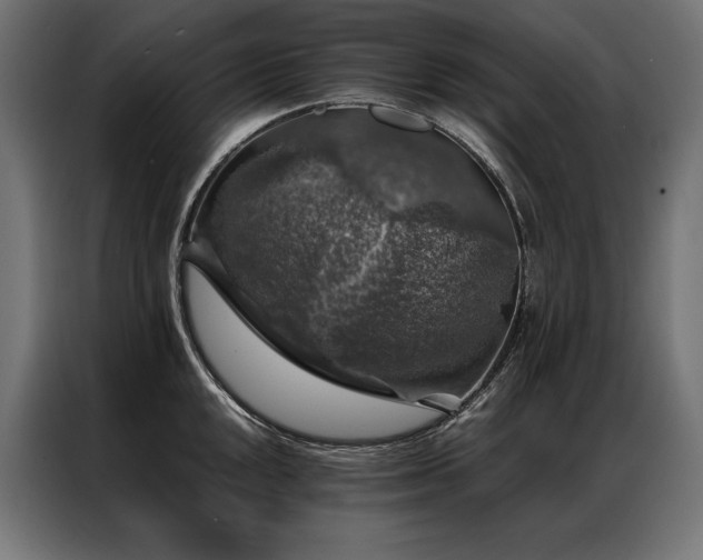 X0000087021048200704161557