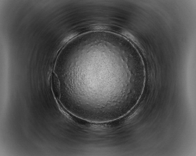 X0000087021049200704161558