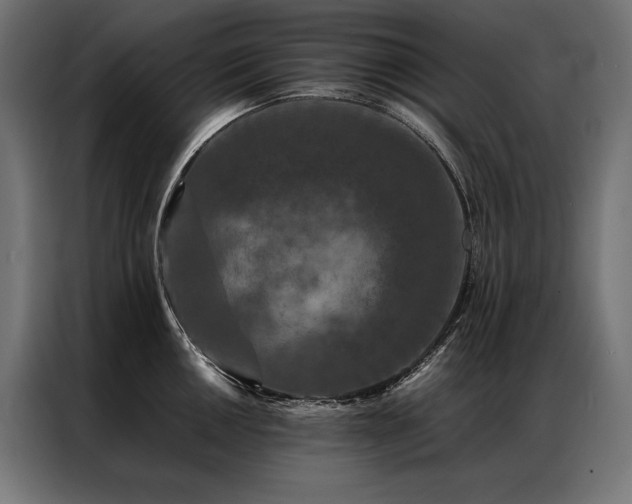 X0000087021050200704161558