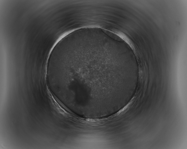 X0000087021052200704161558